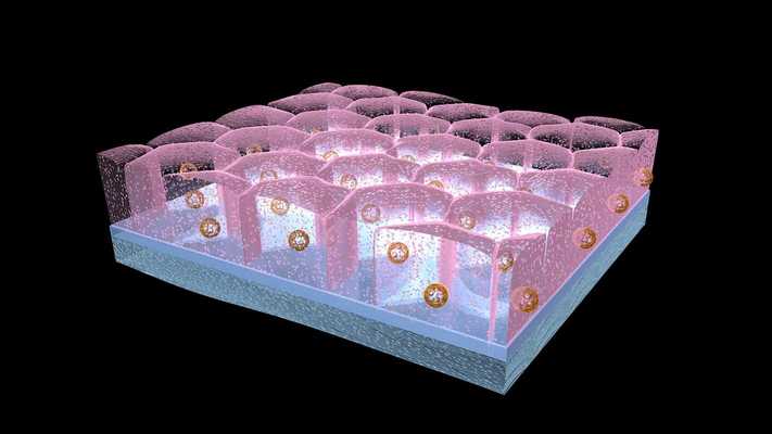 Emulate Android APK Cuboidal Epithelial Tissue 3D