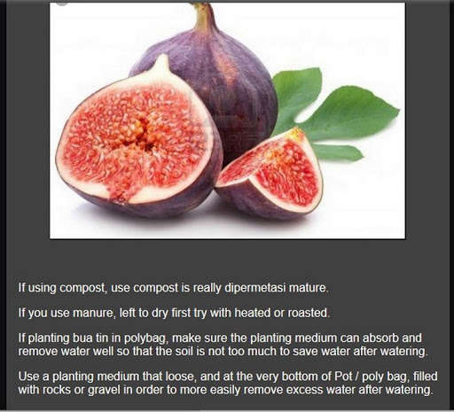 Run android online APK cultivation of figs complete from MyAndroid or emulate cultivation of figs complete using MyAndroid