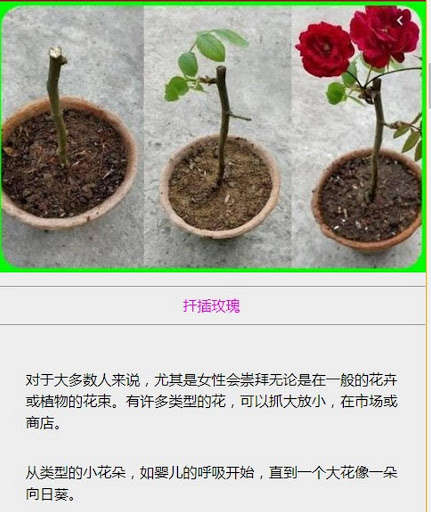 Run android online APK cultivation of roses from MyAndroid or emulate cultivation of roses using MyAndroid