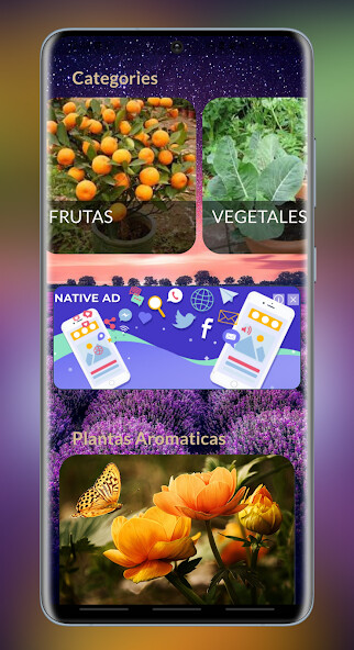 Run android online APK Cultivos de Plantas en Maseteros from MyAndroid or emulate Cultivos de Plantas en Maseteros using MyAndroid