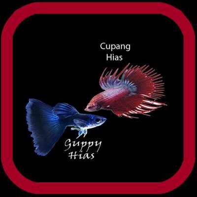 Emulate Android APK Cupang Guppy Hias Emulate Android APK Cupang Guppy Hias