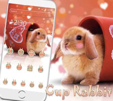 Emulate Android APK Cup Rabbit Theme Emulate Android APK Cup Rabbit Theme