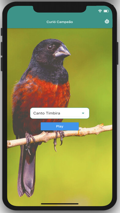 Emulate iPhone app Curio Campeao using MyAndroid Emulate iPhone app Curio Campeao using MyAndroid