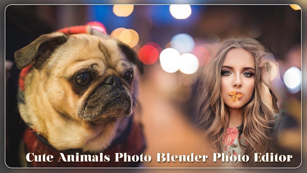 Run android online APK Cute Animal Photo Frame Photo Blender Photo Editor from MyAndroid or emulate Cute Animal Photo Frame Photo Blender Photo Editor using MyAndroid