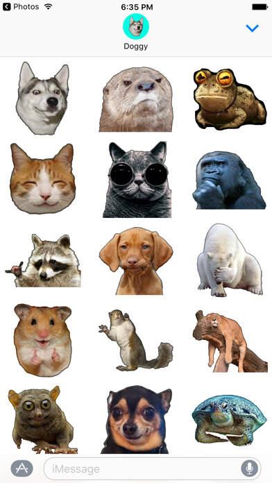 Emulate iPhone app Cute Animals memes stickers pack for iMessage using MyAndroid Emulate iPhone app Cute Animals memes stickers pack for iMessage using MyAndroid