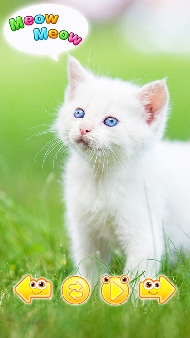 Emulate iPhone app Cute animals sounds / noises using MyAndroid Emulate iPhone app Cute animals sounds / noises using MyAndroid