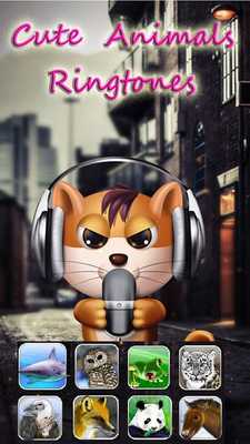 Emulate Android APK Cute Animals Sounds Ringtones