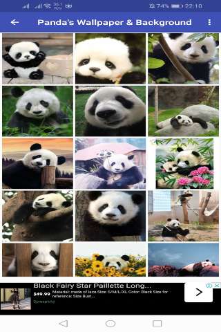 Run android online APK Cute Animal Wallpaper & Background from MyAndroid or emulate Cute Animal Wallpaper & Background using MyAndroid