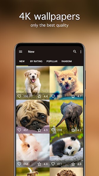 Run android online APK Cute Animal Wallpapers 4K from MyAndroid or emulate Cute Animal Wallpapers 4K using MyAndroid Run android online APK Cute Animal Wallpapers 4K from MyAndroid or emulate Cute Animal Wallpapers 4K using MyAndroid