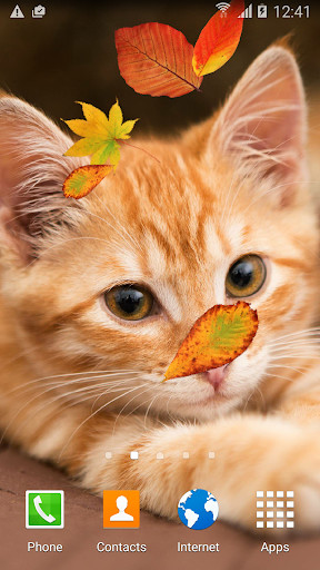 Run android online APK Cute Autumn Live Wallpaper from MyAndroid or emulate Cute Autumn Live Wallpaper using MyAndroid