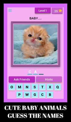 Emulate Android APK Cute Baby Animals - Guess The Names