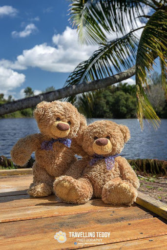 Run android online APK Cute Bear Cartoon Wallpaper 2020 from MyAndroid or emulate Cute Bear Cartoon Wallpaper 2020 using MyAndroid