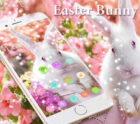 Emulate Android APK Cute bunny Theme happy easter