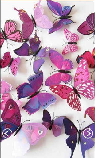 Run android online APK Cute Butterfly Wallpaper from MyAndroid or emulate Cute Butterfly Wallpaper using MyAndroid