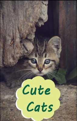 Emulate Android APK cute cat and kitten wallpapers Emulate Android APK cute cat and kitten wallpapers