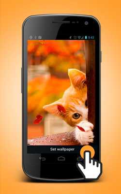 Emulate Android APK Cute Cat Animated Wallpaper