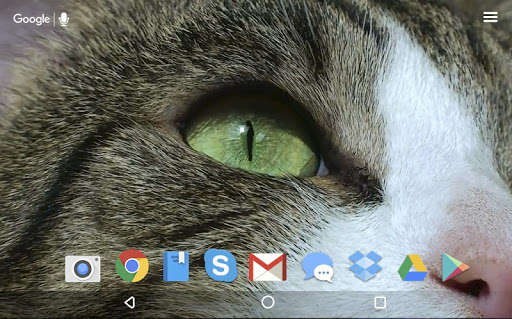 Emulate Android APK Cute Cat HD Live Wallpaper Emulate Android APK Cute Cat HD Live Wallpaper