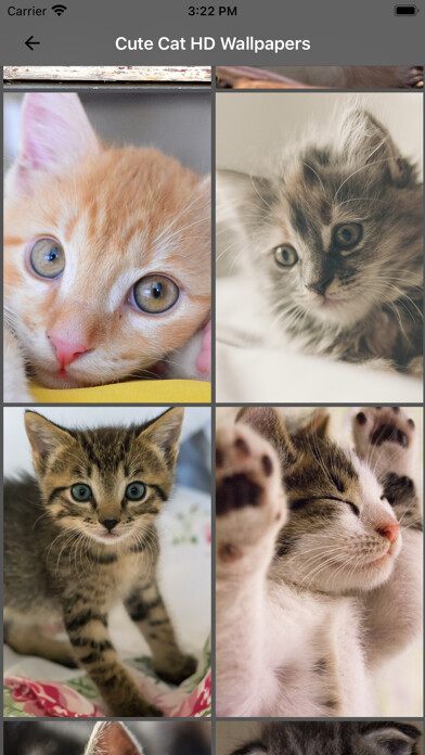 Emulate Android APK Cute Cat HD Wallpapers Emulate Android APK Cute Cat HD Wallpapers