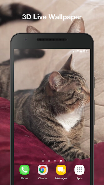 Run android online APK Cute Cat Live Wallpaper from MyAndroid or emulate Cute Cat Live Wallpaper using MyAndroid