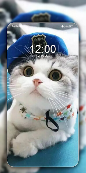 Run android online APK Cute Cat Wallpaper HD image 4K from MyAndroid or emulate Cute Cat Wallpaper HD image 4K using MyAndroid