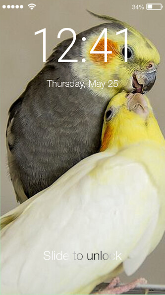 Run android online APK Cute Couple Parrot Lockcreen from MyAndroid or emulate Cute Couple Parrot Lockcreen using MyAndroid Run android online APK Cute Couple Parrot Lockcreen from MyAndroid or emulate Cute Couple Parrot Lockcreen using MyAndroid
