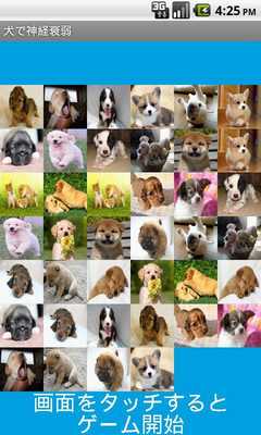 Emulate Android APK Cute Dog Concentration free Emulate Android APK Cute Dog Concentration free