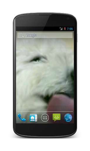 Emulate Android APK Cute Dog Licks Screen HD LWP Emulate Android APK Cute Dog Licks Screen HD LWP