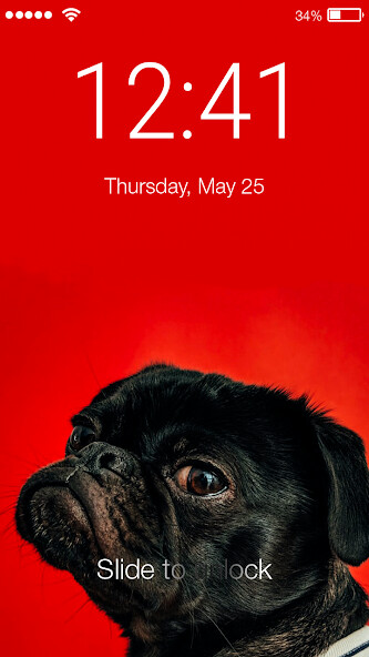 Run android online APK Cute Dog Puppy Pug Lock Screen from MyAndroid or emulate Cute Dog Puppy Pug Lock Screen using MyAndroid Run android online APK Cute Dog Puppy Pug Lock Screen from MyAndroid or emulate Cute Dog Puppy Pug Lock Screen using MyAndroid