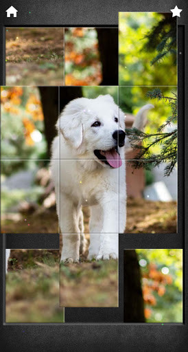 Emulate Android APK Cute Dogs Jigsaw Puzzles Emulate Android APK Cute Dogs Jigsaw Puzzles