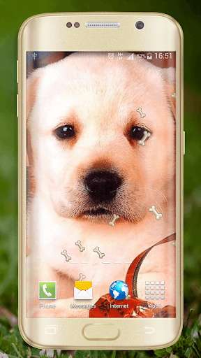 Run android online APK Cute Dogs Live Wallpaper from MyAndroid or emulate Cute Dogs Live Wallpaper using MyAndroid