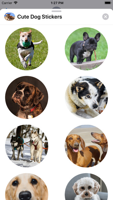 Emulate iPhone app Cute Dog Sticker Set using MyAndroid
