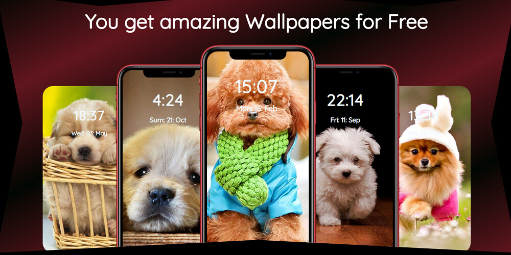 Run android online APK Cute Dog Wallpaper Cute Puppy from MyAndroid or emulate Cute Dog Wallpaper Cute Puppy using MyAndroid