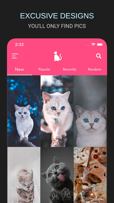 Emulate iPhone app Cute Funny Cats HD Wallpapers using MyAndroid