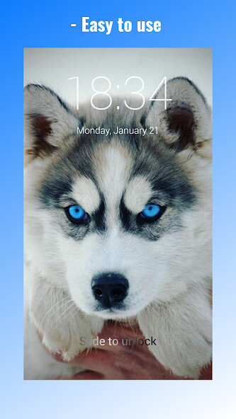 Run android online APK Cute Husky Puppies Lock Screen from MyAndroid or emulate Cute Husky Puppies Lock Screen using MyAndroid