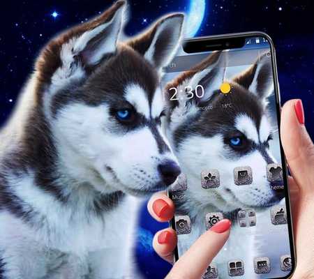 Emulate Android APK Cute Kawaii Puppy Theme Emulate Android APK Cute Kawaii Puppy Theme