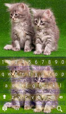 Emulate Android APK Cute Kitten Pet keyboard theme Emulate Android APK Cute Kitten Pet keyboard theme