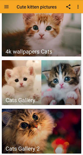 Run android online APK Cute kitten pictures from MyAndroid or emulate Cute kitten pictures using MyAndroid