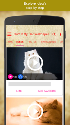 Emulate Android APK Cute Kitty Cat Wallpaper
