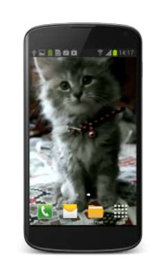 Emulate Android APK Cute Kitty Video Wallpaper Emulate Android APK Cute Kitty Video Wallpaper
