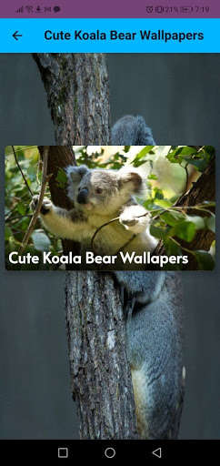 Run android online APK Cute Koala Bear Wallpapers from MyAndroid or emulate Cute Koala Bear Wallpapers using MyAndroid