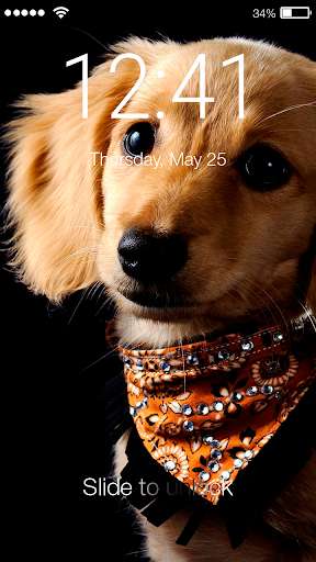 Run android online APK Cute Pet Dog Puppy Wallpaper Screen Lock from MyAndroid or emulate Cute Pet Dog Puppy Wallpaper Screen Lock using MyAndroid Run android online APK Cute Pet Dog Puppy Wallpaper Screen Lock from MyAndroid or emulate Cute Pet Dog Puppy Wallpaper Screen Lock using MyAndroid