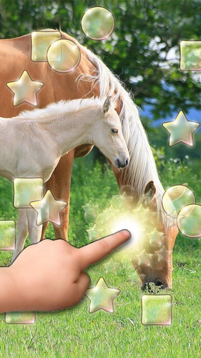 Emulate iPhone app Cute Pets Slideshow & Wallpapers (HD) using MyAndroid Emulate iPhone app Cute Pets Slideshow & Wallpapers (HD) using MyAndroid
