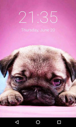 Run android online APK Cute Pug Puppy Lock Screen, Pug Puppy Pattern Pin from MyAndroid or emulate Cute Pug Puppy Lock Screen, Pug Puppy Pattern Pin using MyAndroid Run android online APK Cute Pug Puppy Lock Screen, Pug Puppy Pattern Pin from MyAndroid or emulate Cute Pug Puppy Lock Screen, Pug Puppy Pattern Pin using MyAndroid