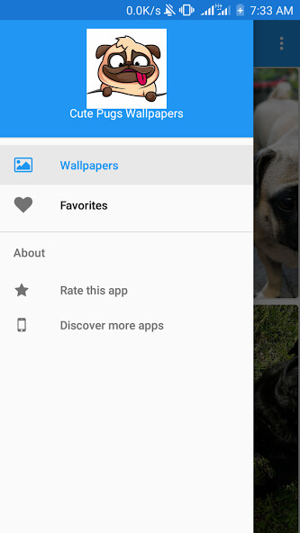 Run android online APK Cute Pugs Wallpapers from MyAndroid or emulate Cute Pugs Wallpapers using MyAndroid Run android online APK Cute Pugs Wallpapers from MyAndroid or emulate Cute Pugs Wallpapers using MyAndroid