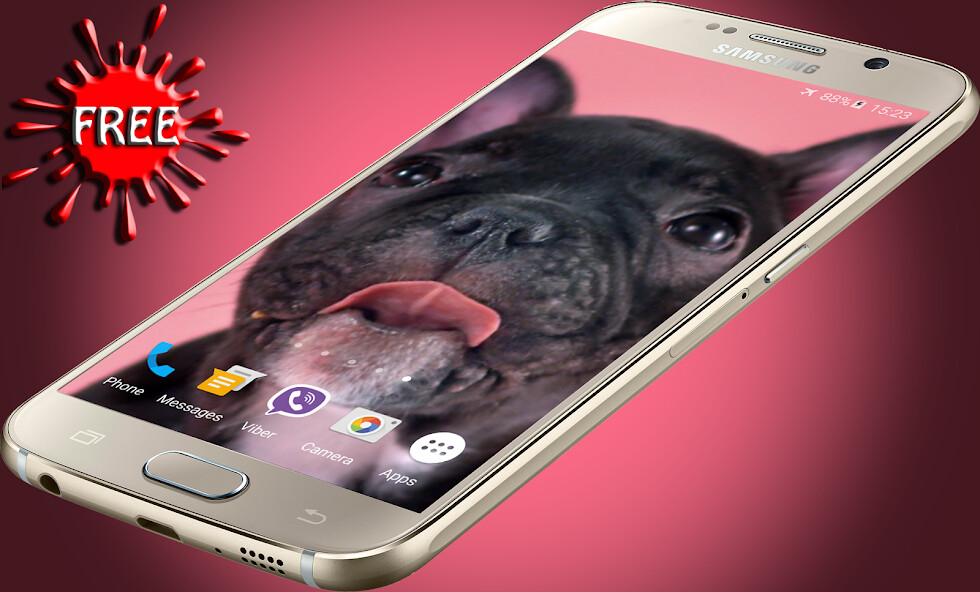 Run android online APK Cute Puppies Live Wallpaper from MyAndroid or emulate Cute Puppies Live Wallpaper using MyAndroid Run android online APK Cute Puppies Live Wallpaper from MyAndroid or emulate Cute Puppies Live Wallpaper using MyAndroid