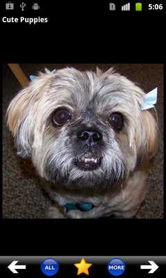 Emulate Android APK Cute Puppies Emulate Android APK Cute Puppies