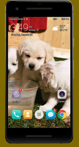 Run android online APK Cute Puppies Video Wallpapers from MyAndroid or emulate Cute Puppies Video Wallpapers using MyAndroid Run android online APK Cute Puppies Video Wallpapers from MyAndroid or emulate Cute Puppies Video Wallpapers using MyAndroid