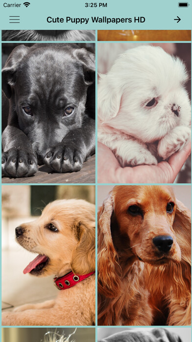 Emulate iPhone app Cute Puppy Wallpapers HD using MyAndroid Emulate iPhone app Cute Puppy Wallpapers HD using MyAndroid