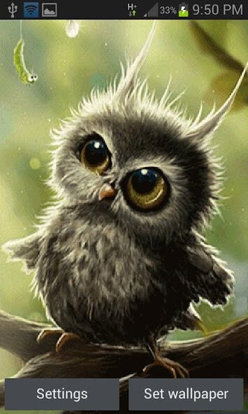 Run android online APK Cute Small Owl LWP from MyAndroid or emulate Cute Small Owl LWP using MyAndroid