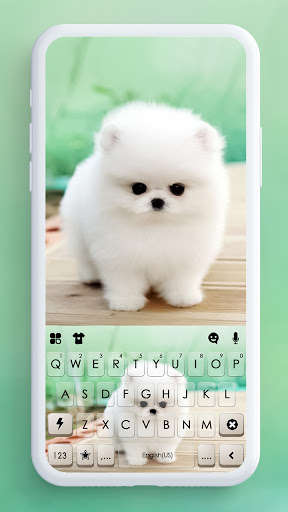 Run android online APK Cute Teacup Puppie Keyboard Background from MyAndroid or emulate Cute Teacup Puppie Keyboard Background using MyAndroid